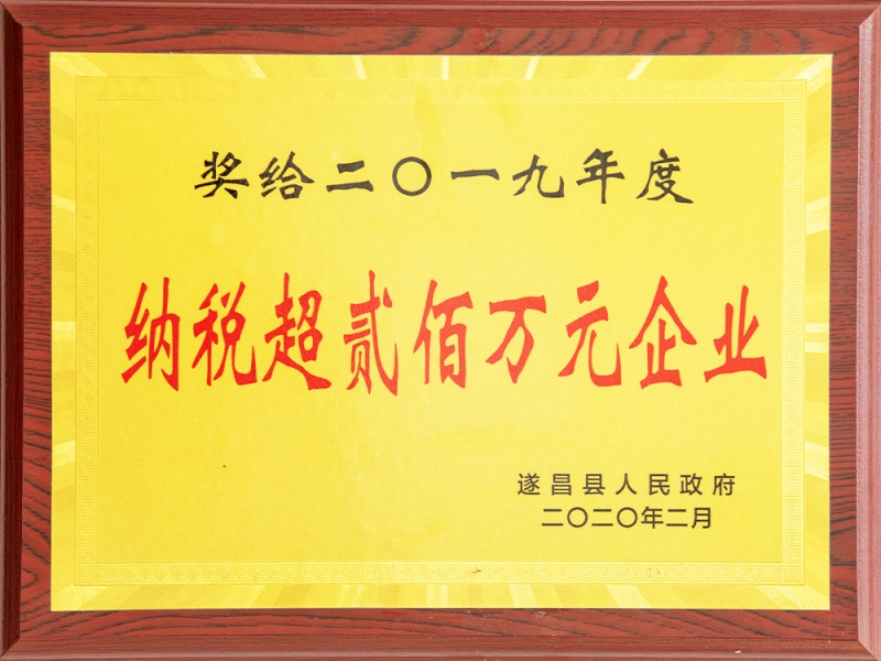 2019年度遂昌縣納稅超兩百萬元企業